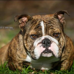 Meet your Posher, Gerald